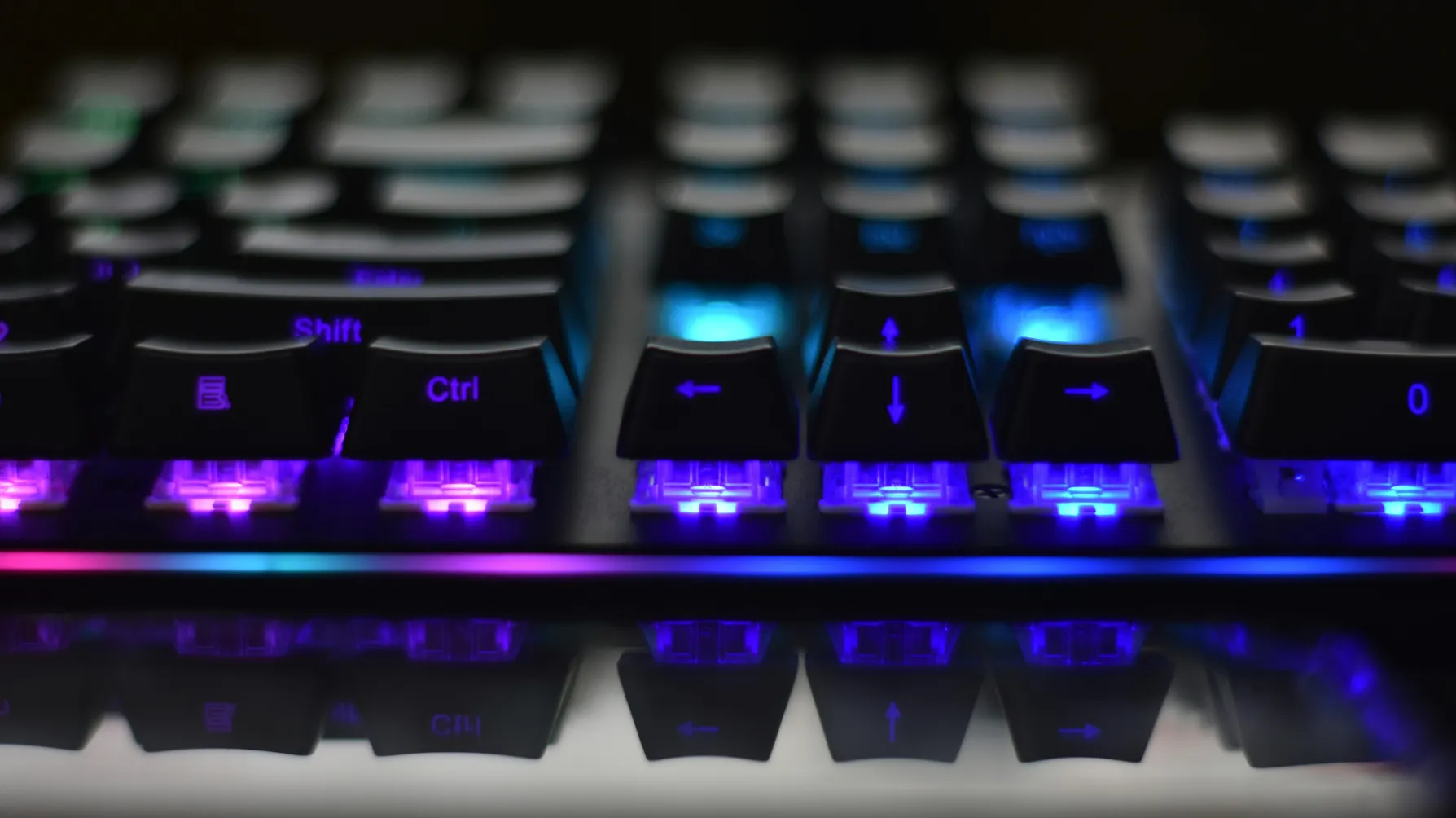 GravaStarの人気モデルをHotlistデータでチェック！